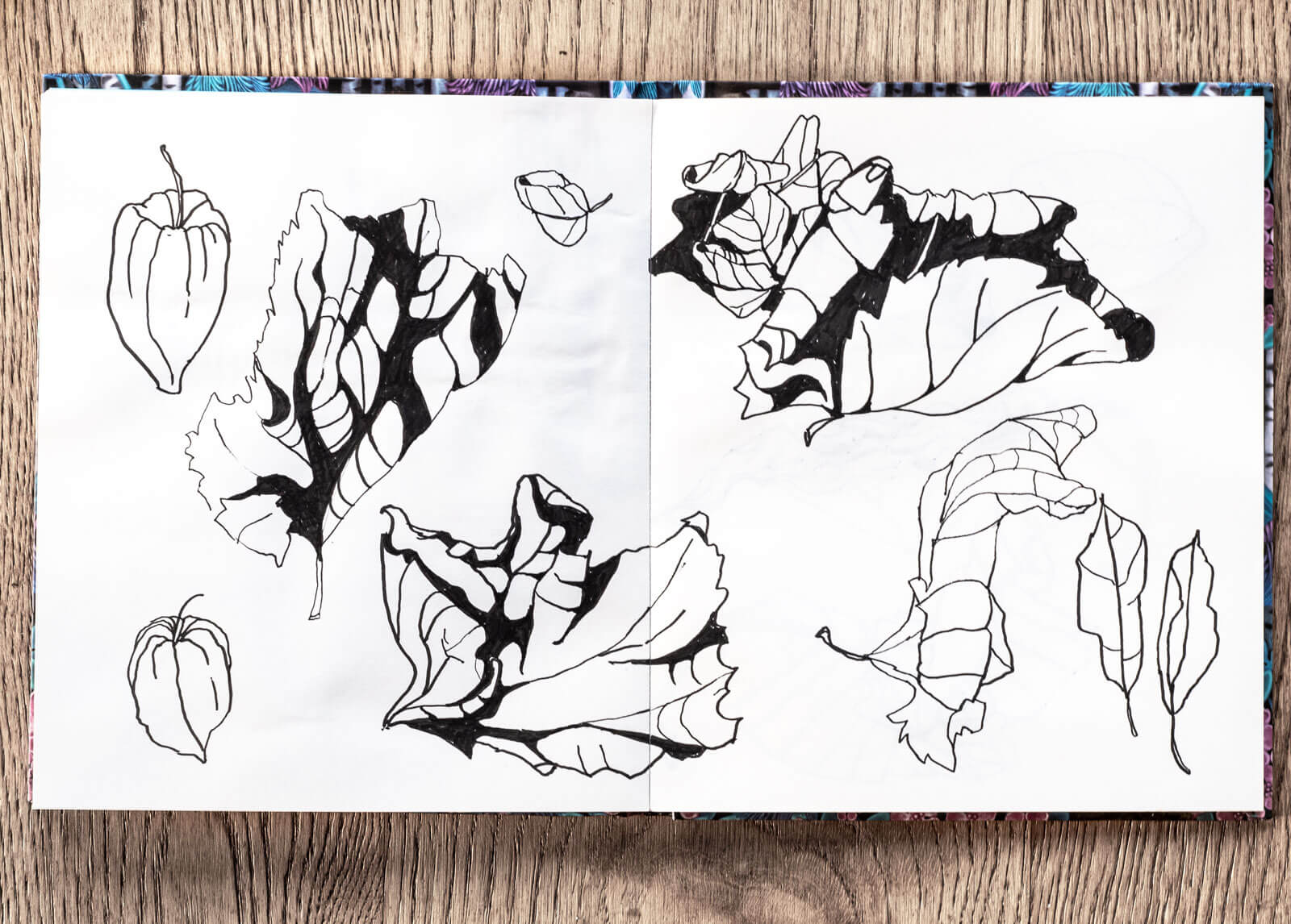 Zeichnung, Studie, Skizzenblock, Blätter, Herbstzeichnung
