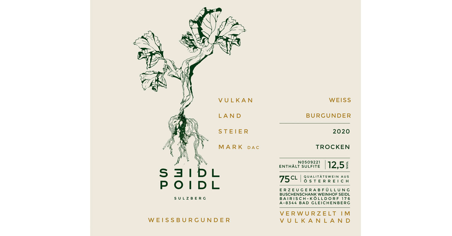 illustration, Weinstock, Weinreben, Weinblatt, Weinetikette, Branding, Seidl-Poidl, Buschenschank, verwurzelt