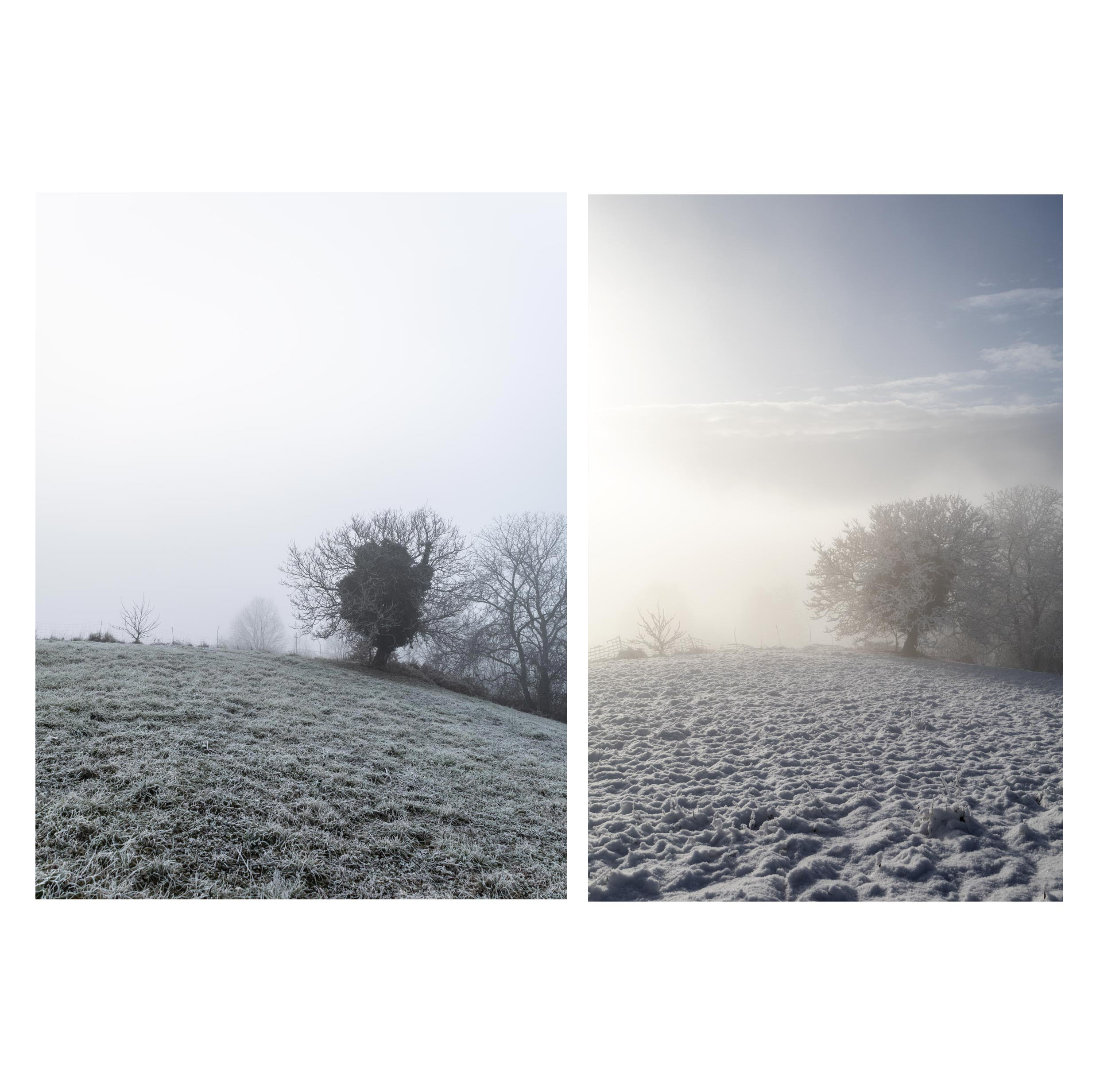 Landschaft Fotografie, Winter, Schnee, Frost, Nebel, steirisches Vulkanland, Kapfenstein, Feldbach, Südoststeiermark, Naturfotografie, 