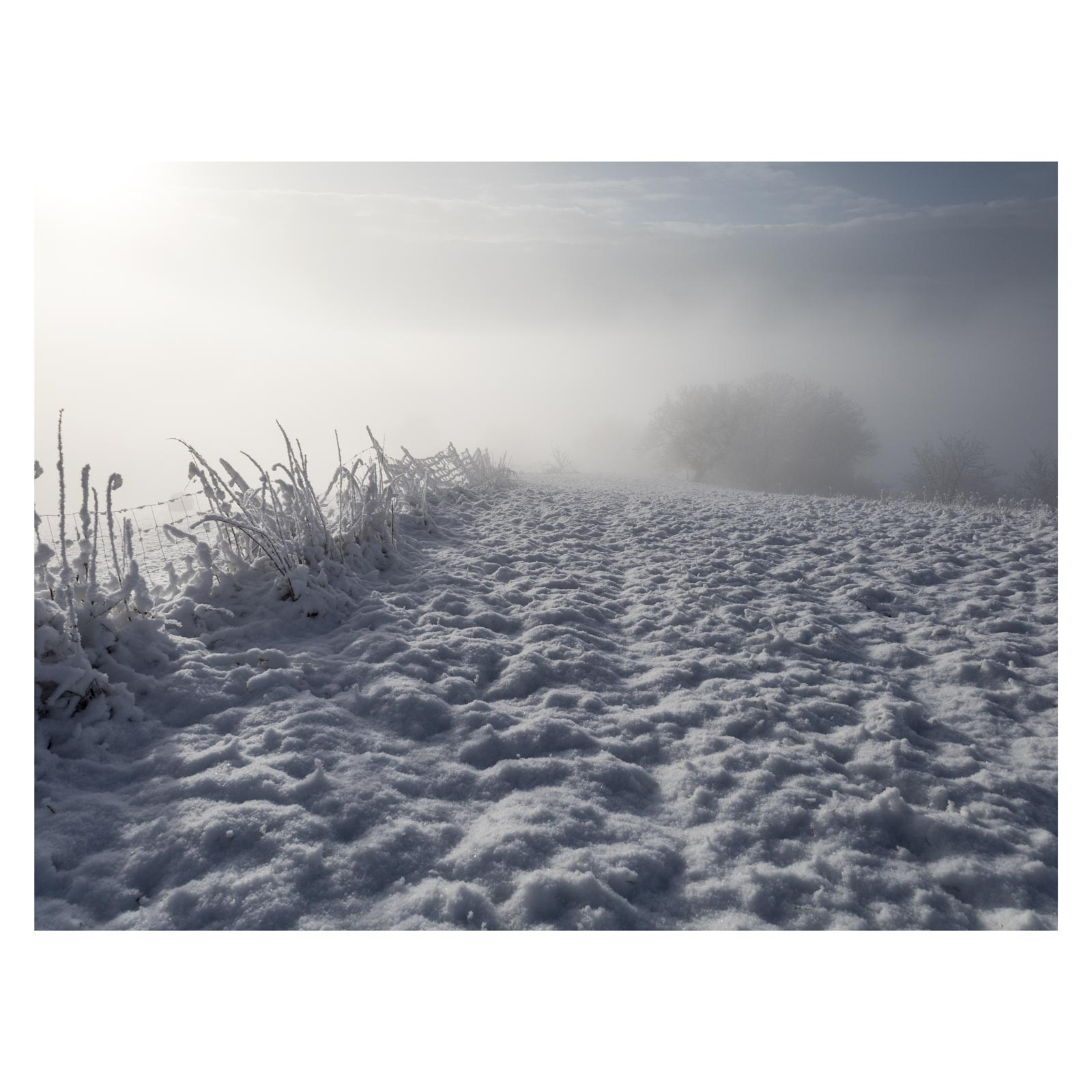 Landschaft Fotografie, Winter, Schnee, Frost, Nebel, steirisches Vulkanland, Kapfenstein, Feldbach, Südoststeiermark, Naturfotografie, 