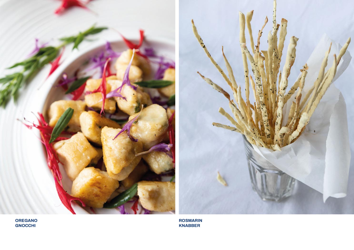 Blaukraut, Kräuterkochbuch, Jahreszeiten Kochbuch, Kräuter, vegetarisch, saisonal, regional, Editorial Design, Grafik Design, Oregano Gnocchi, Rezepte, Rosmarin Knabbergebäck