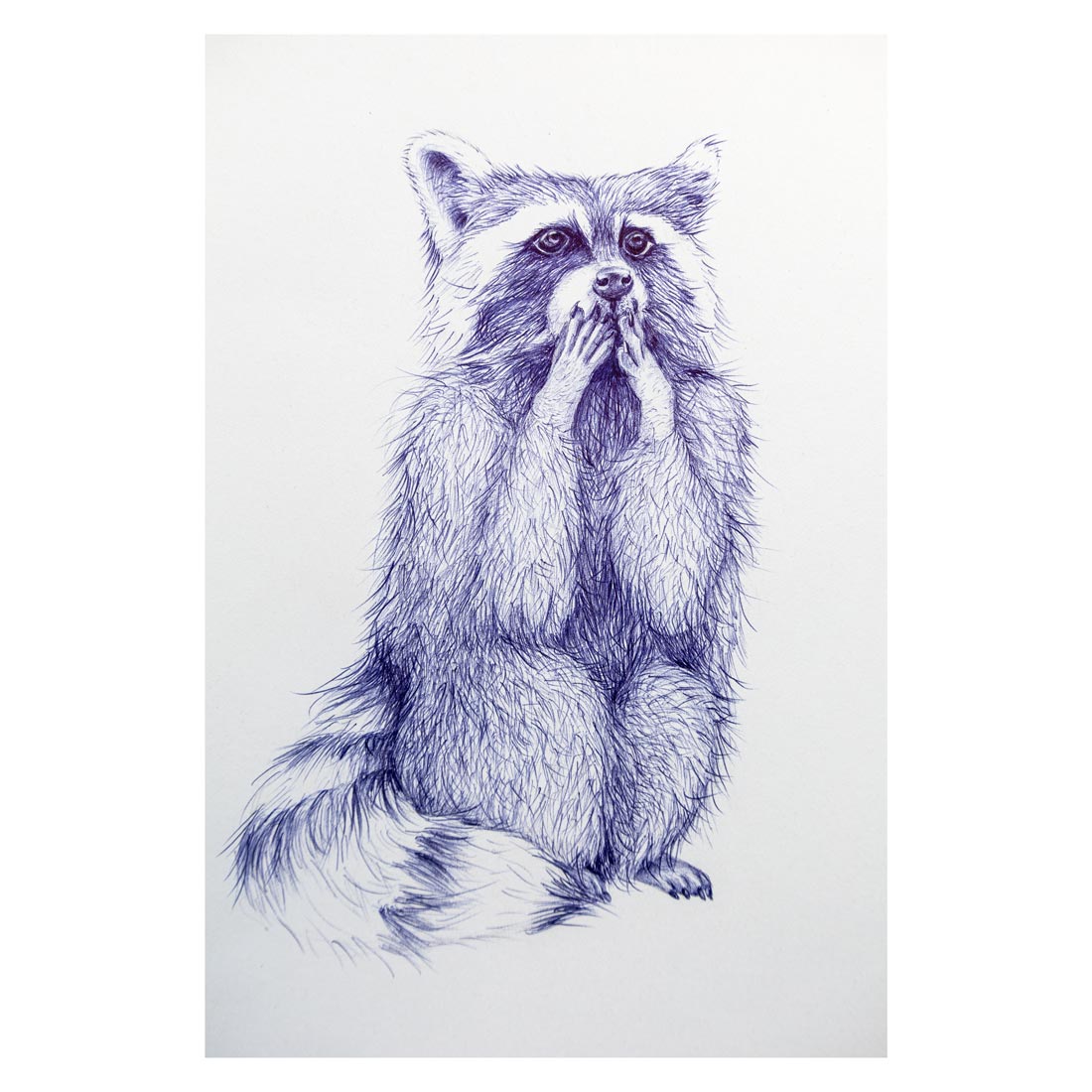 kullizeichnung, Illustration, ballpenart, Tier-Illustration, Zeichnung, Stift & Papier, Karten, Geburtstagskarte, Waschbär, racoon, 