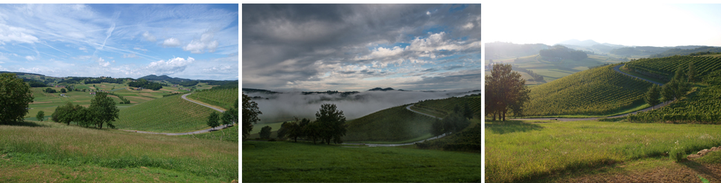 Landschaft Frühling, Aussicht Bad Gleichenberg, Grafik Büro, Vulkanland, Gestaltung