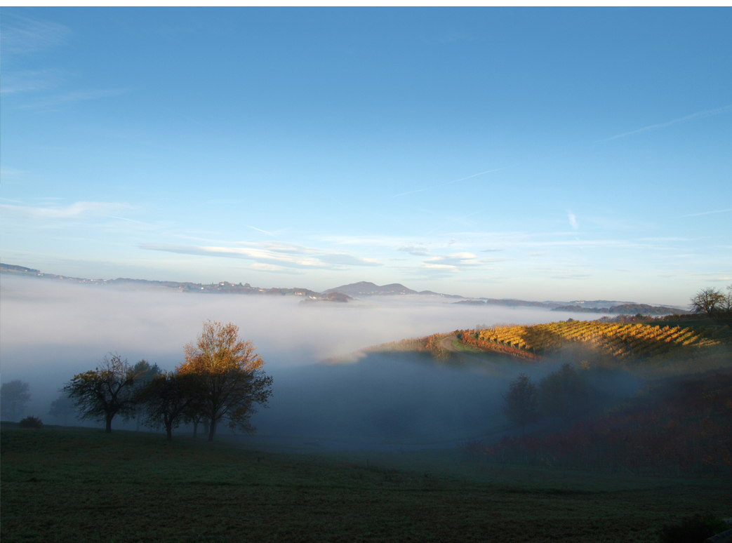 Kapfenstein Nebel, Büro für Werbung und Grafikdesign in der Südoststeiermark, Vulkanland