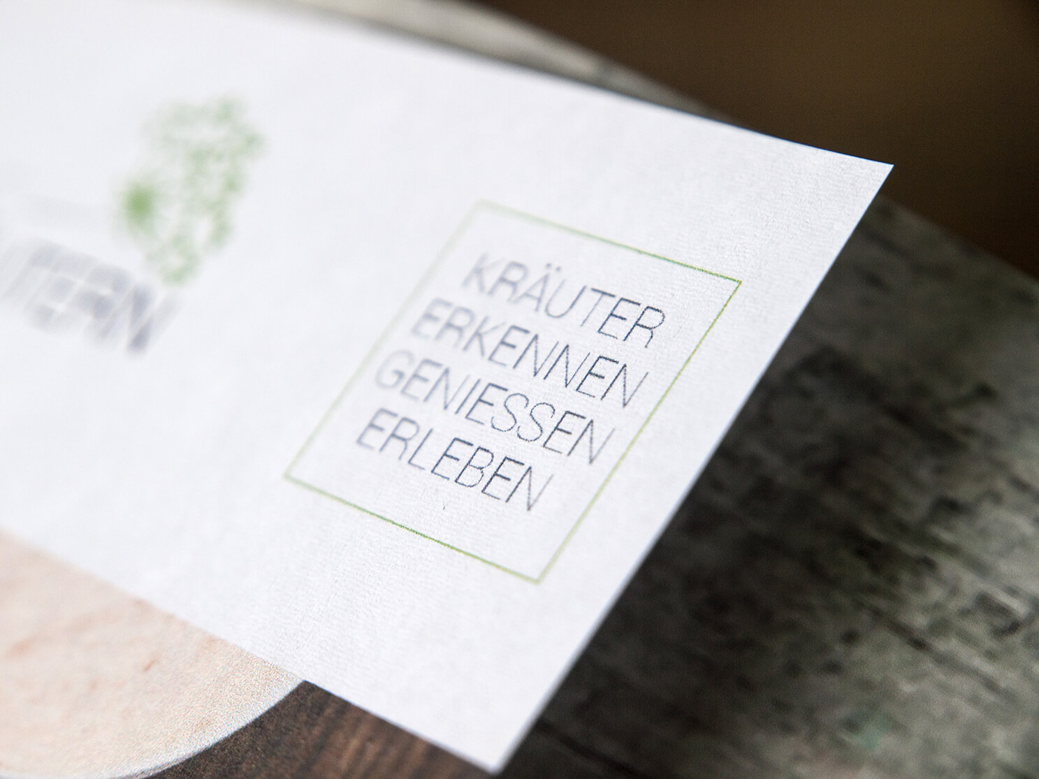 Andrea bregar, Leben mit Kräutern, Basislinie, Logo, Kreation, Werbelinie, Corporate Design, Gutschein